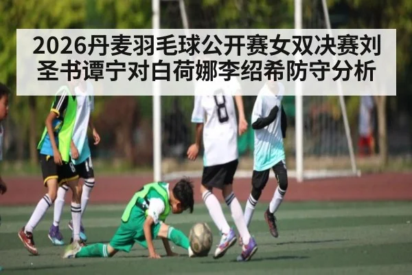 2026丹麦羽毛球公开赛女双决赛刘圣书谭宁对白荷娜李绍希防守分析