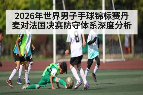 2026年世界男子手球锦标赛丹麦对法国决赛防守体系深度分析